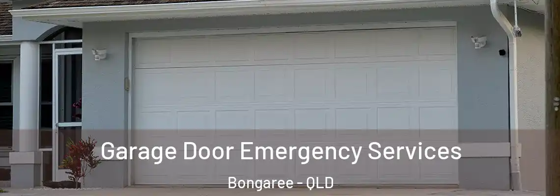 Garage Door Emergency Services Bongaree - QLD