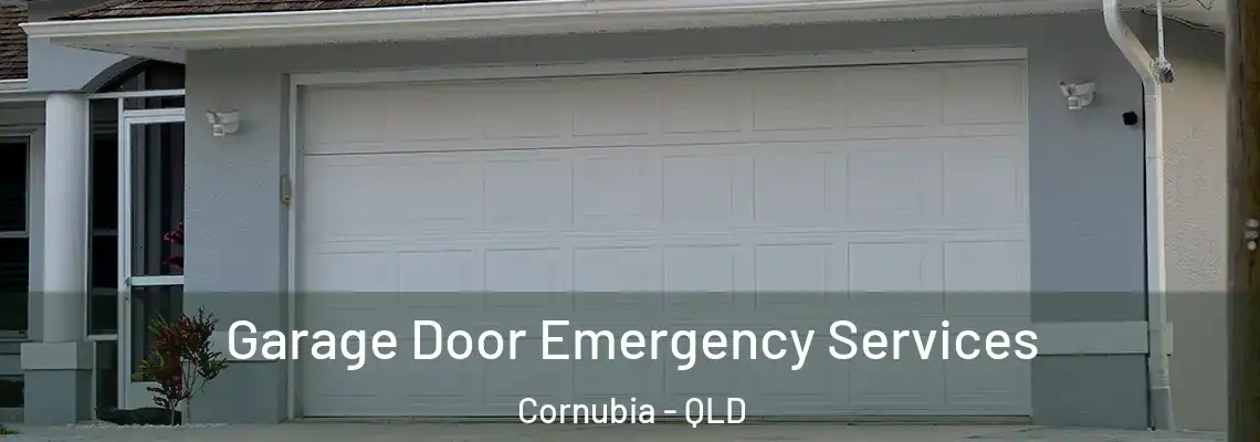 Garage Door Emergency Services Cornubia - QLD