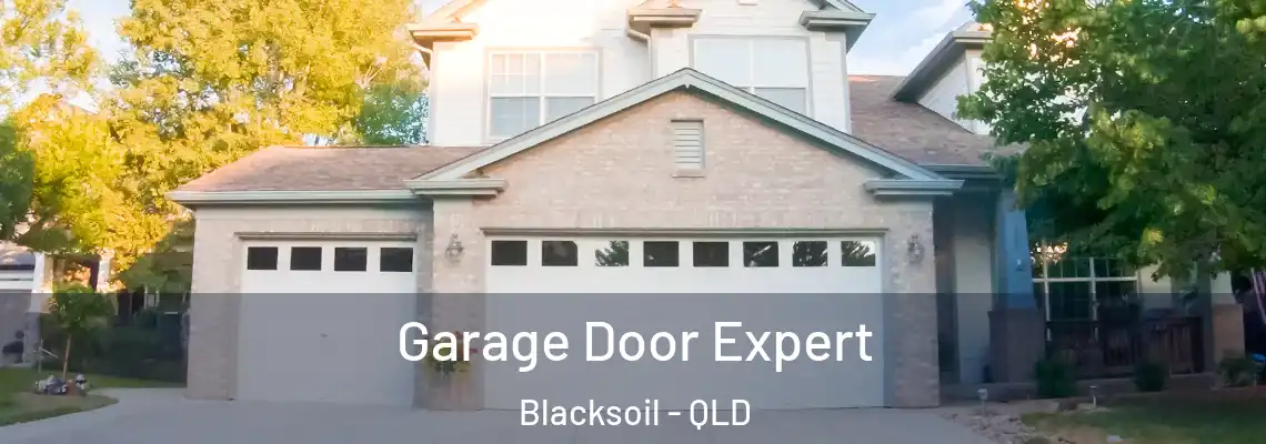 Garage Door Expert Blacksoil - QLD