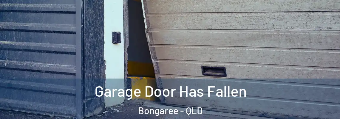 Garage Door Has Fallen Bongaree - QLD