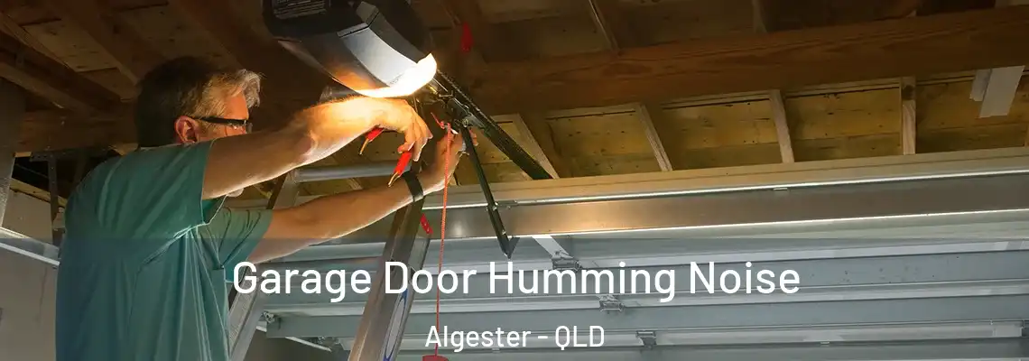 Garage Door Humming Noise Algester - QLD