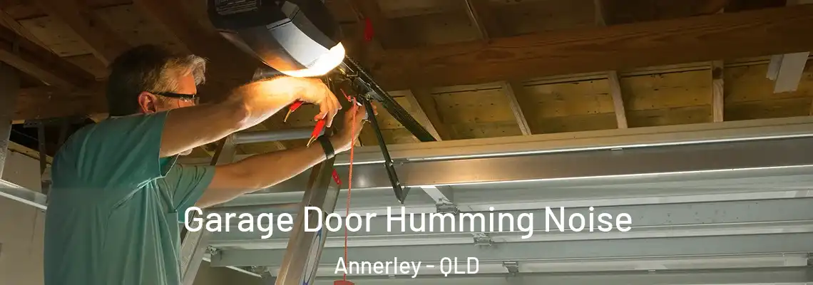 Garage Door Humming Noise Annerley - QLD