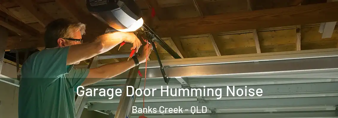 Garage Door Humming Noise Banks Creek - QLD