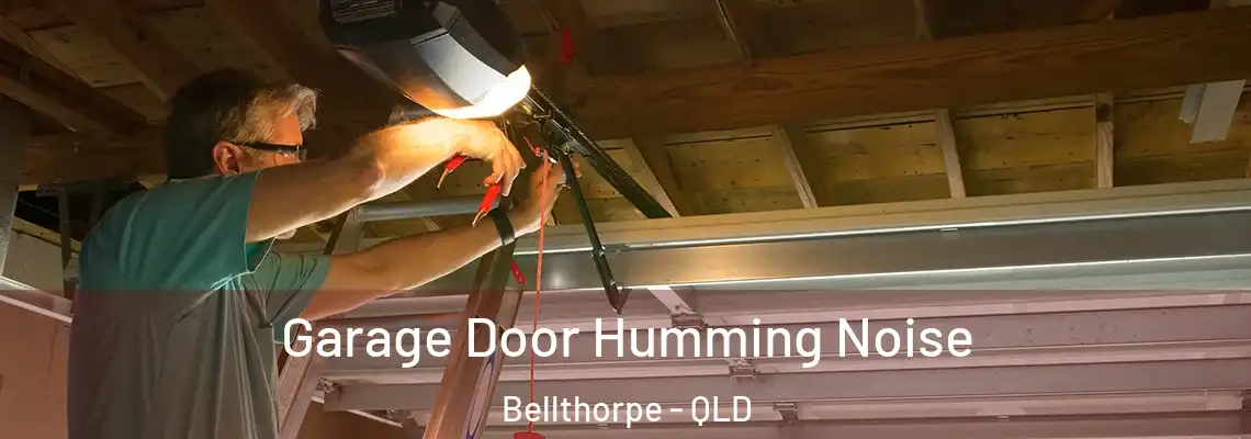 Garage Door Humming Noise Bellthorpe - QLD