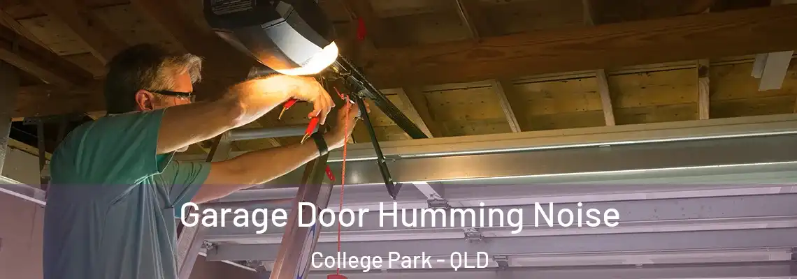 Garage Door Humming Noise College Park - QLD