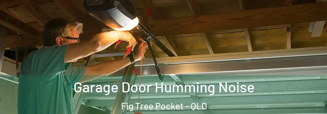  Garage Door Humming Noise Fig Tree Pocket - QLD