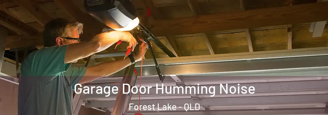 Garage Door Humming Noise Forest Lake - QLD