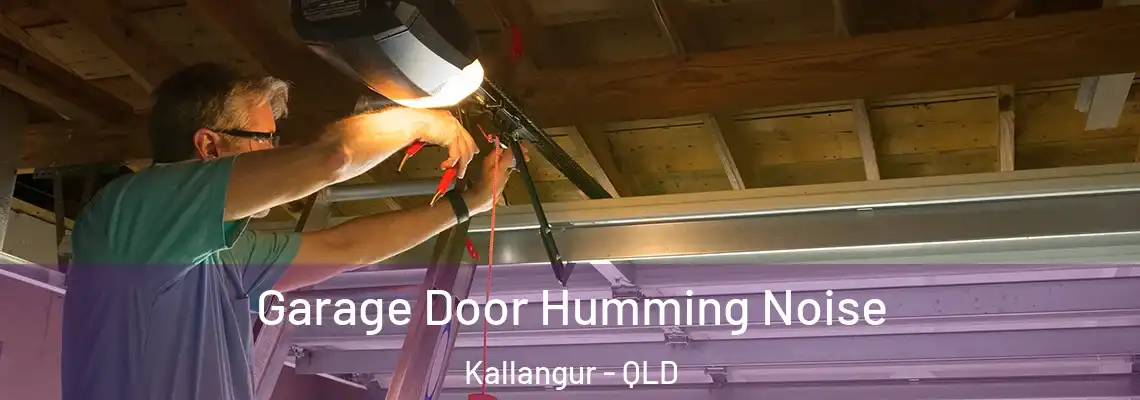 Garage Door Humming Noise Kallangur - QLD