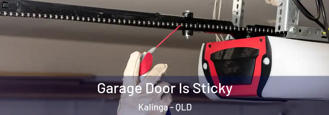  Garage Door Is Sticky Kalinga - QLD