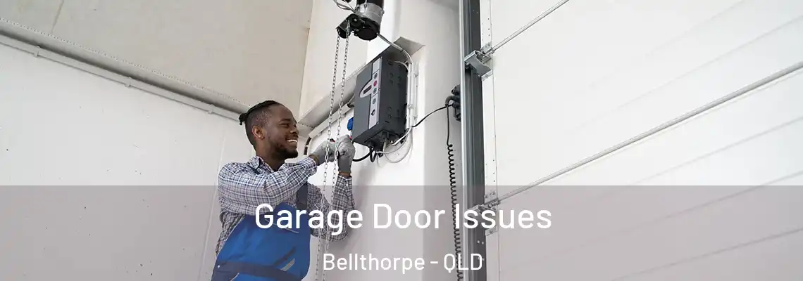  Garage Door Issues Bellthorpe - QLD
