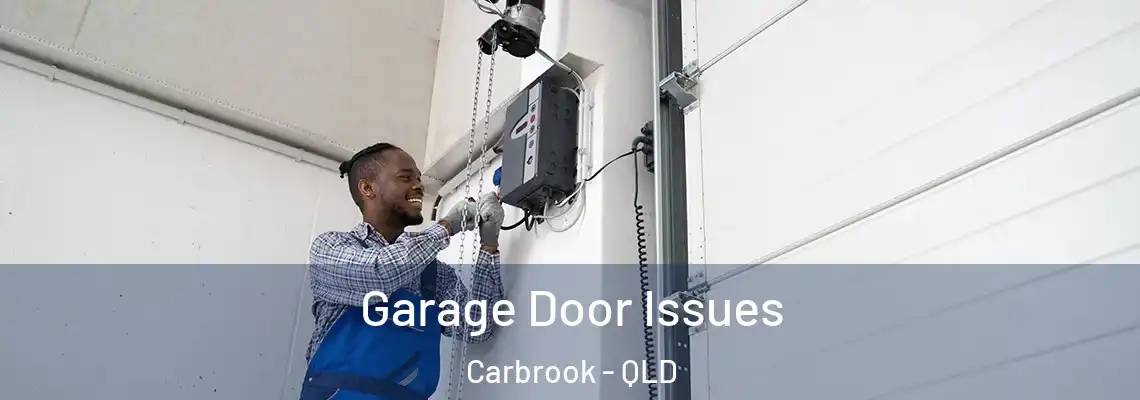  Garage Door Issues Carbrook - QLD