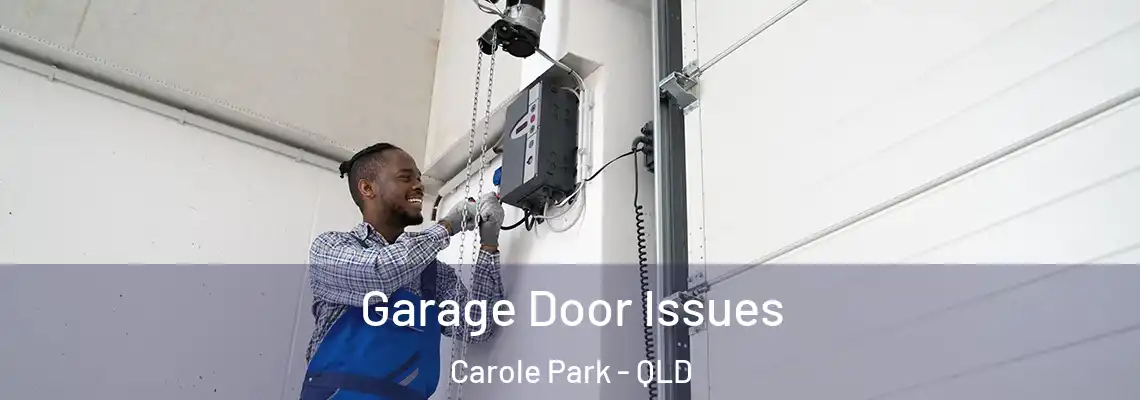 Garage Door Issues Carole Park - QLD