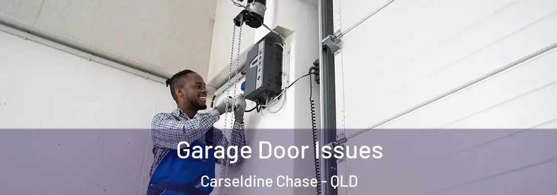  Garage Door Issues Carseldine Chase - QLD