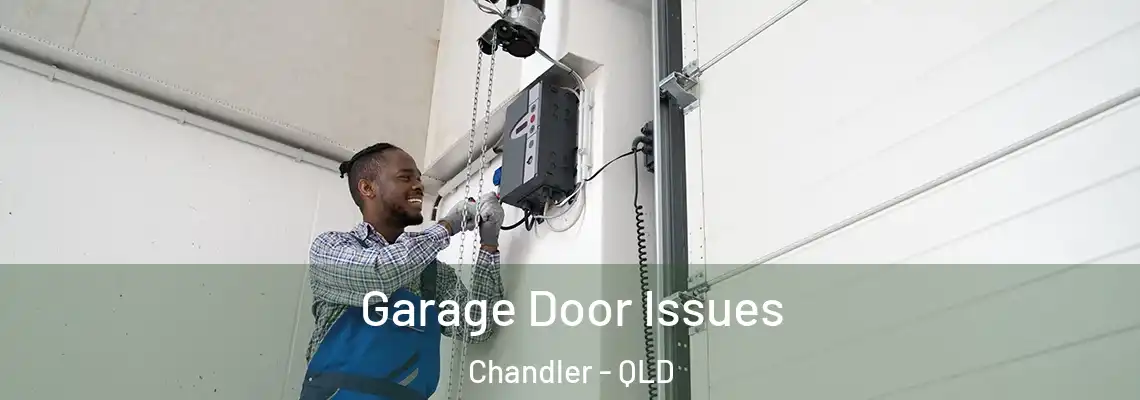  Garage Door Issues Chandler - QLD