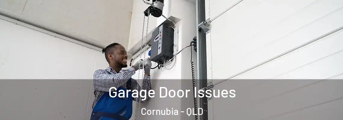  Garage Door Issues Cornubia - QLD