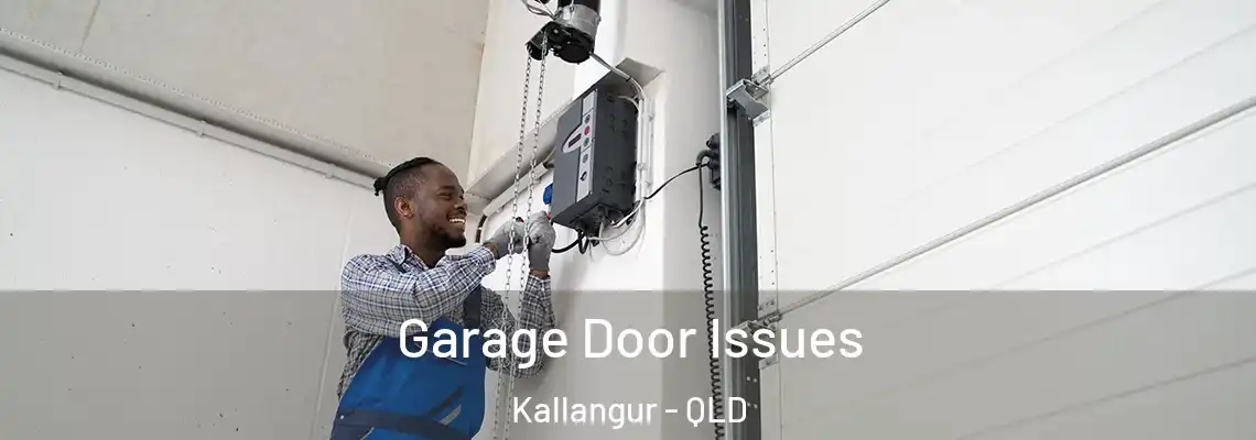 Garage Door Issues Kallangur - QLD