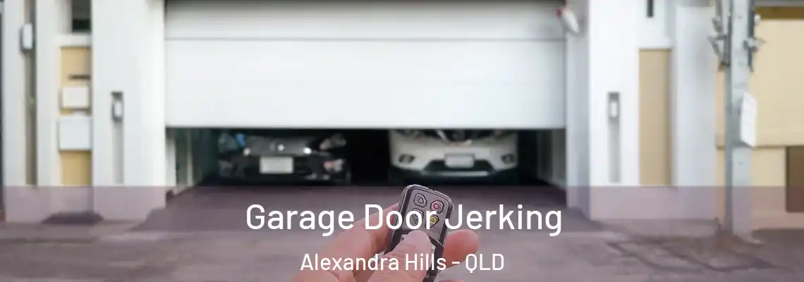 Garage Door Jerking Alexandra Hills - QLD