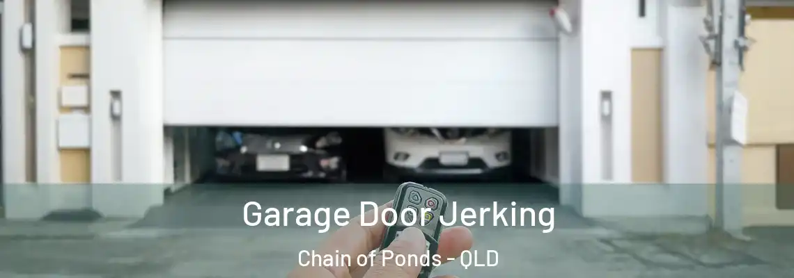 Garage Door Jerking Chain of Ponds - QLD