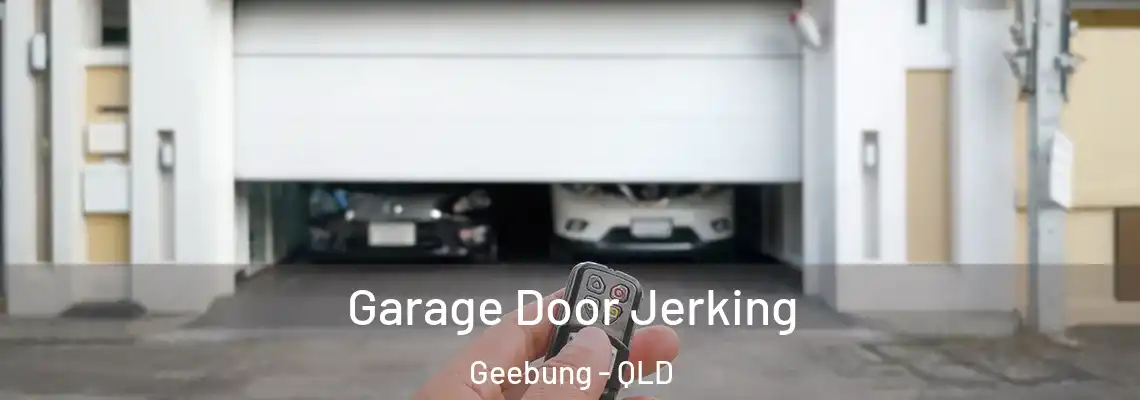 Garage Door Jerking Geebung - QLD