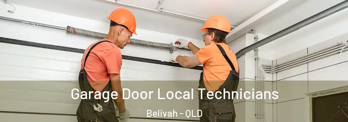 Garage Door Local Technicians Belivah - QLD