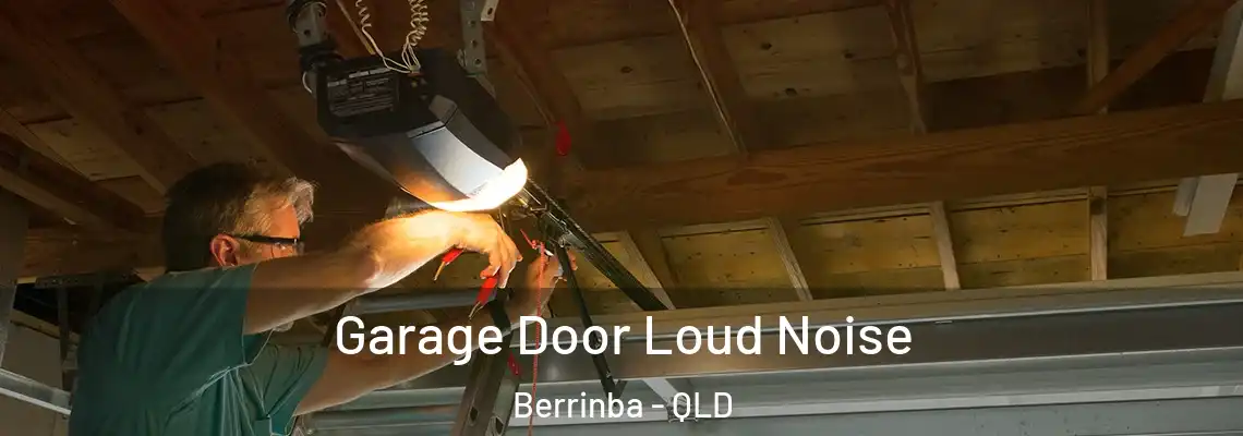 Garage Door Loud Noise Berrinba - QLD