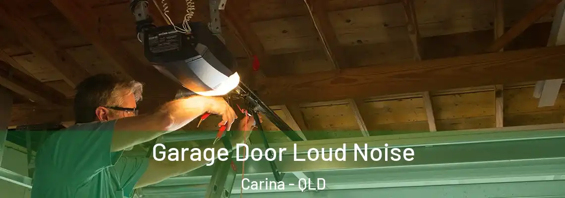 Garage Door Loud Noise Carina - QLD