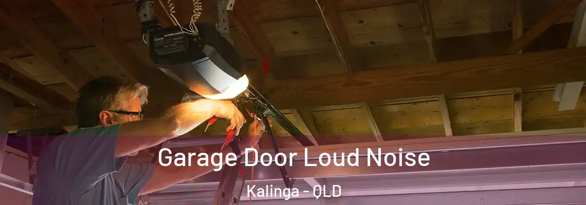 Garage Door Loud Noise Kalinga - QLD