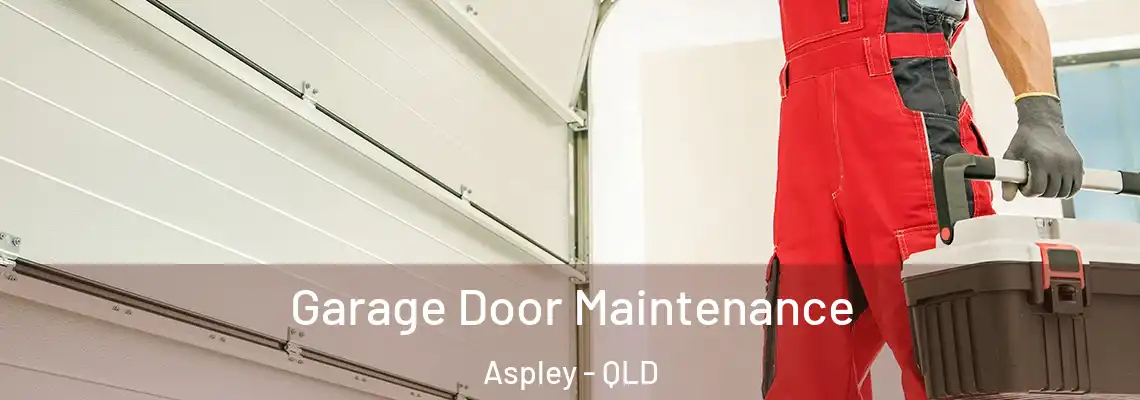 Garage Door Maintenance Aspley - QLD