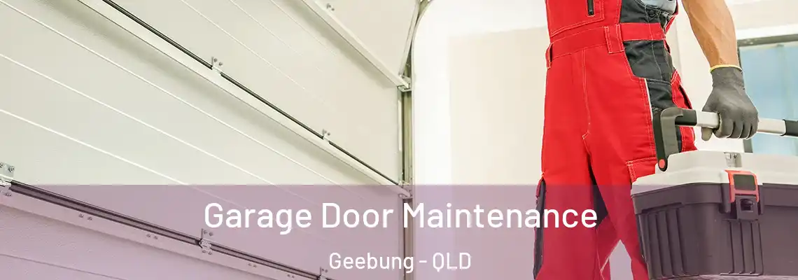Garage Door Maintenance Geebung - QLD