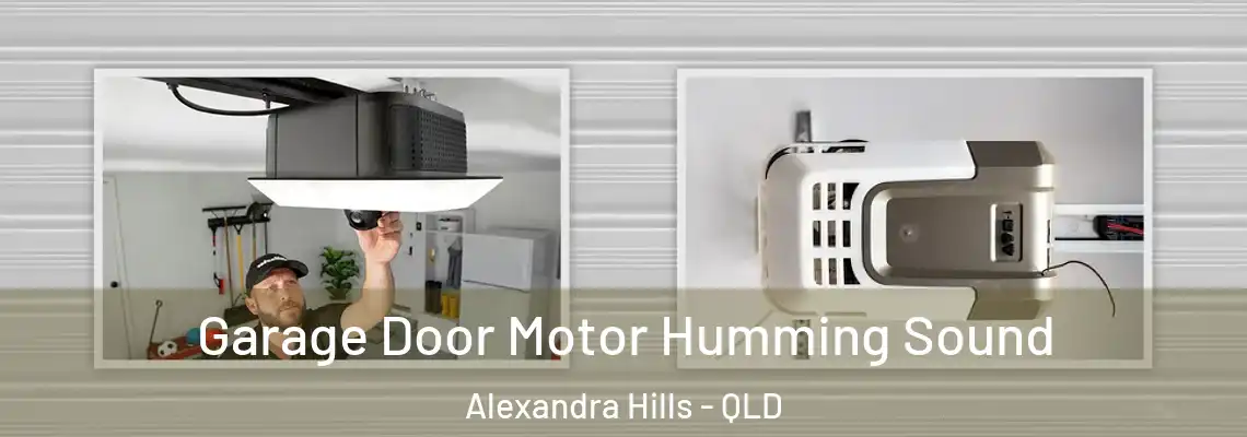  Garage Door Motor Humming Sound Alexandra Hills - QLD