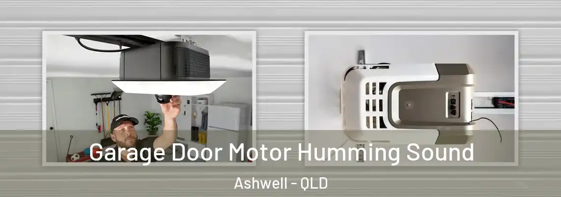 Garage Door Motor Humming Sound Ashwell - QLD
