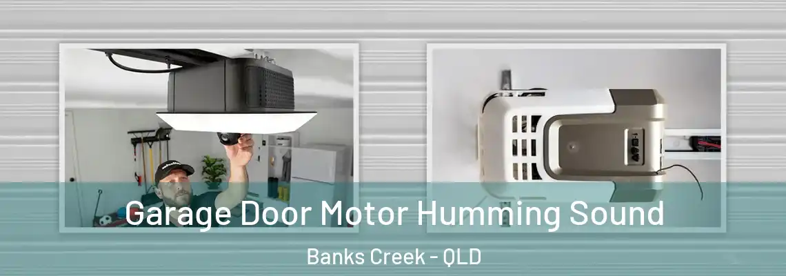 Garage Door Motor Humming Sound Banks Creek - QLD