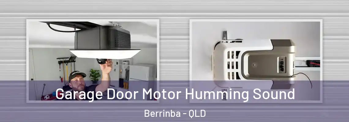 Garage Door Motor Humming Sound Berrinba - QLD