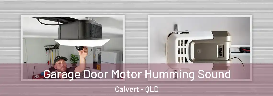 Garage Door Motor Humming Sound Calvert - QLD