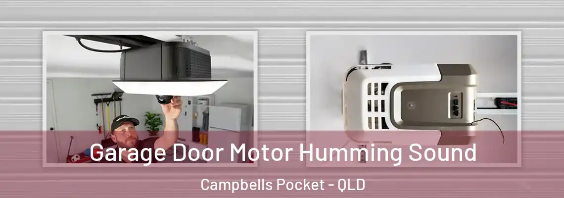  Garage Door Motor Humming Sound Campbells Pocket - QLD