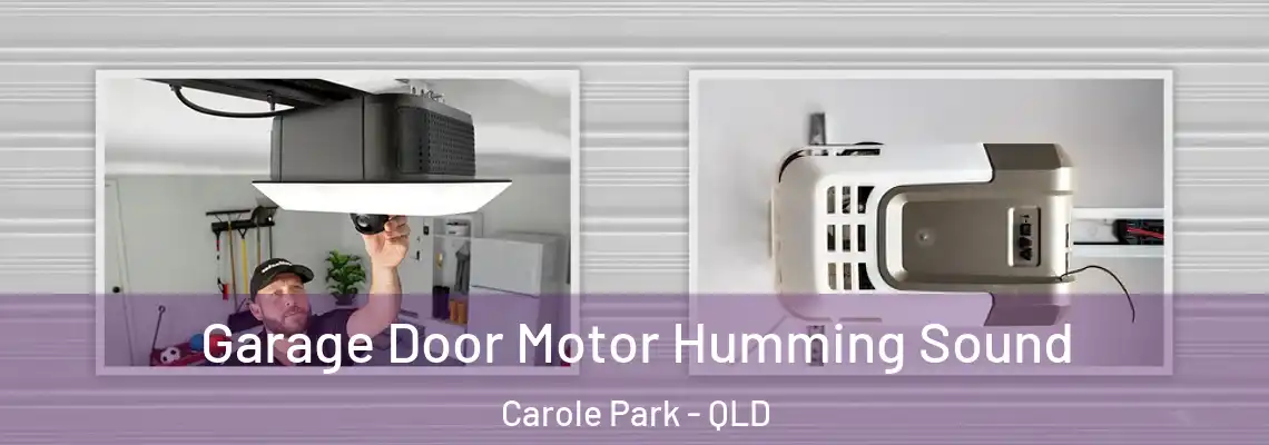 Garage Door Motor Humming Sound Carole Park - QLD
