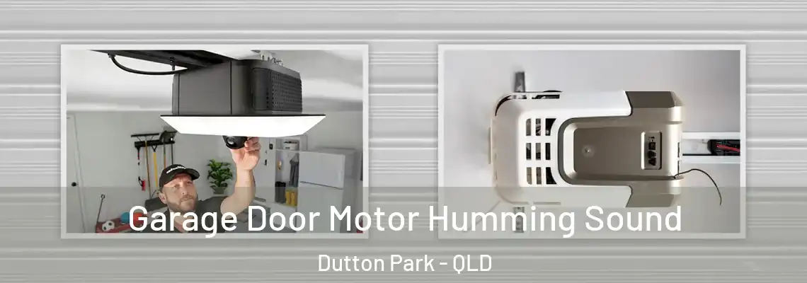 Garage Door Motor Humming Sound Dutton Park - QLD