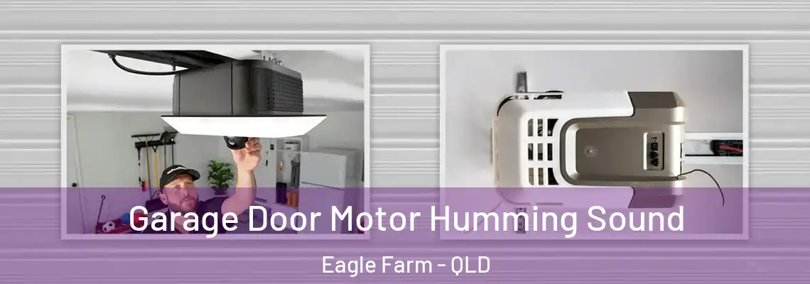  Garage Door Motor Humming Sound Eagle Farm - QLD