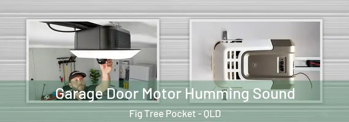 Garage Door Motor Humming Sound Fig Tree Pocket - QLD