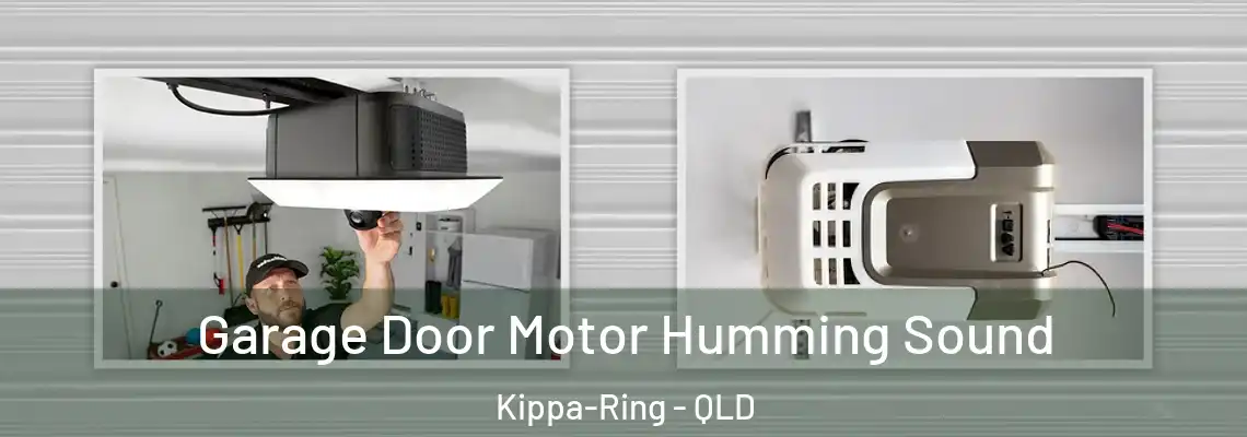 Garage Door Motor Humming Sound Kippa-Ring - QLD