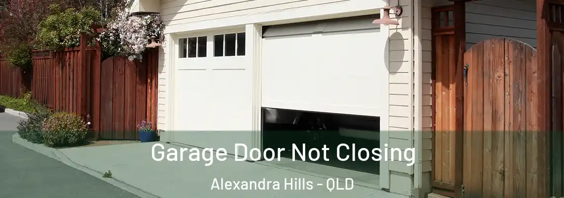 Garage Door Not Closing Alexandra Hills - QLD
