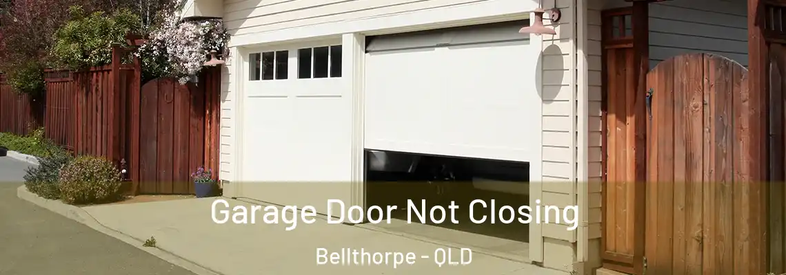 Garage Door Not Closing Bellthorpe - QLD
