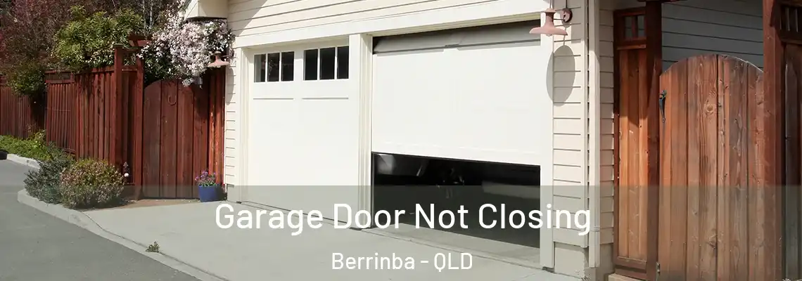 Garage Door Not Closing Berrinba - QLD