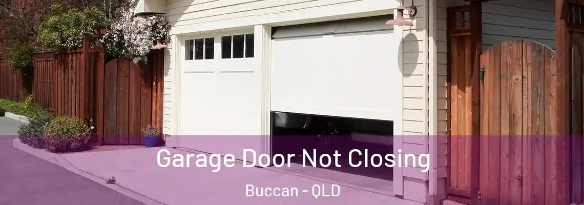 Garage Door Not Closing Buccan - QLD