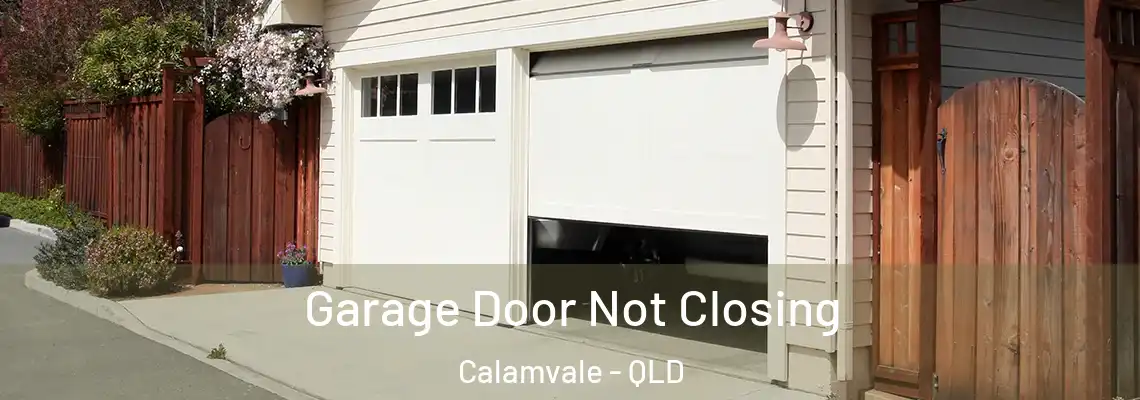Garage Door Not Closing Calamvale - QLD