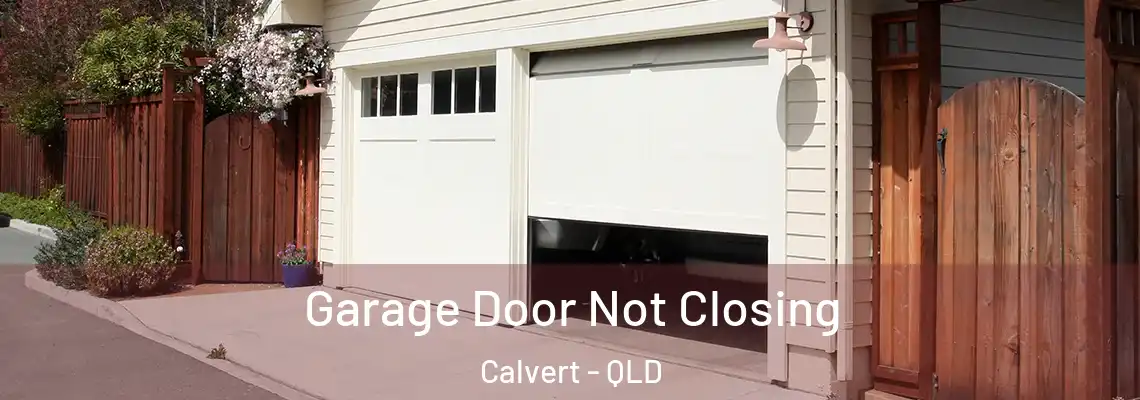 Garage Door Not Closing Calvert - QLD