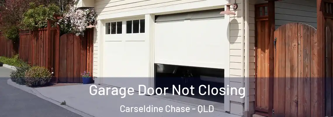 Garage Door Not Closing Carseldine Chase - QLD