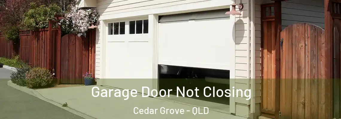 Garage Door Not Closing Cedar Grove - QLD