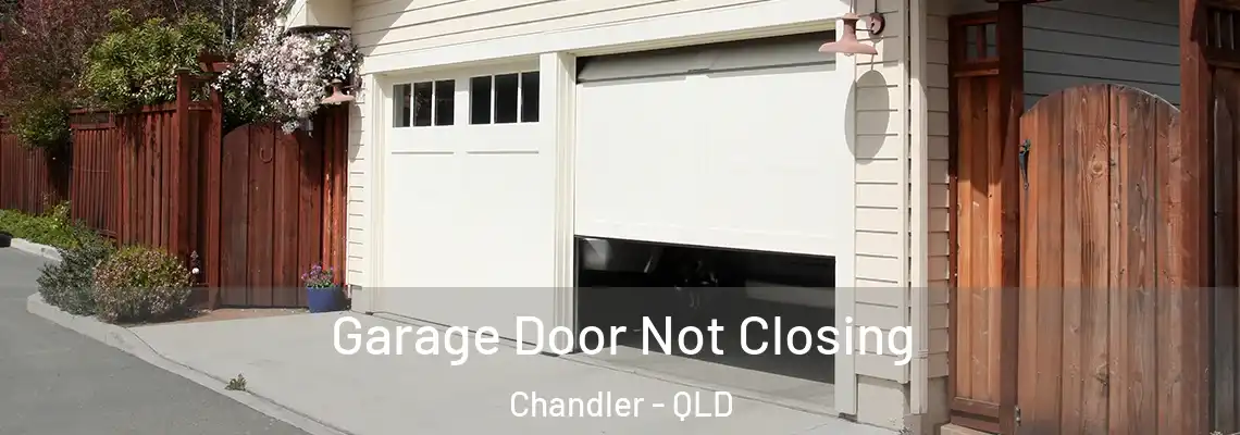 Garage Door Not Closing Chandler - QLD