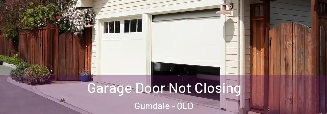 Garage Door Not Closing Gumdale - QLD